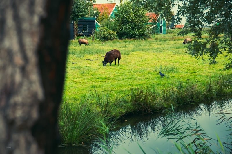 Amsterdam, Netherlands, travel photograph 10 by Journey Outset