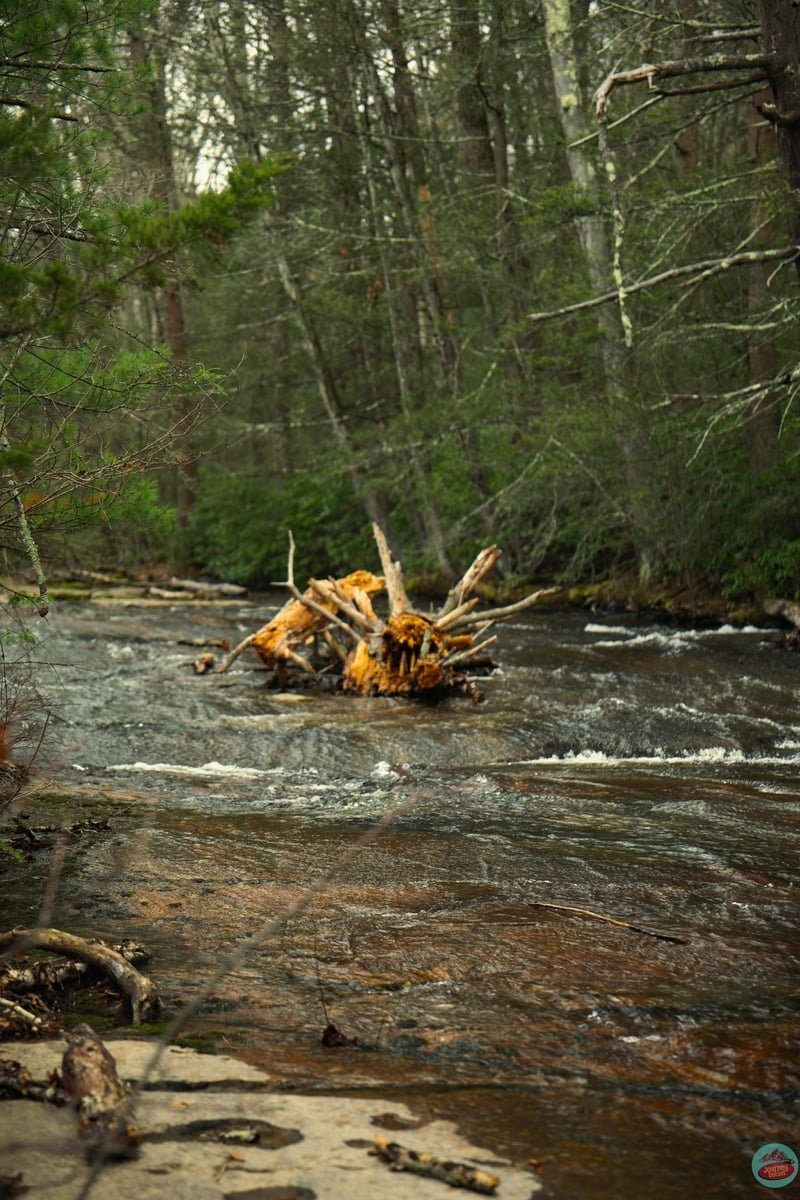 New York State Parks, travel photograph 10 by Journey Outset